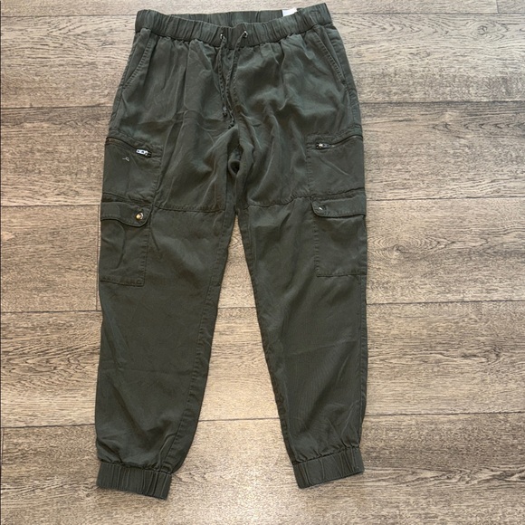 Banana Republic Pants - Banana Republic Sage Green Jogger Tencel Pants